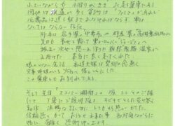29年式デイズ