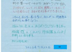 17年式エアウェイブ